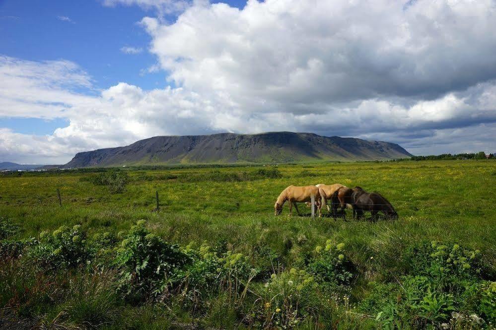 Gesthus Selfoss Hotel Exterior photo