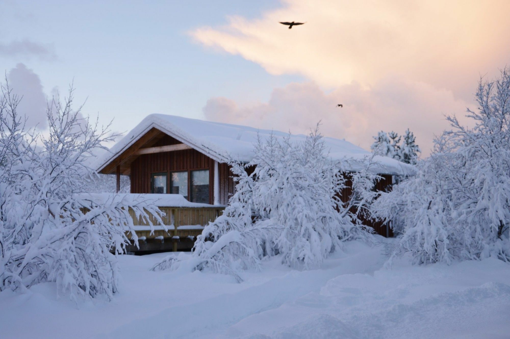 Gesthus Selfoss Hotel Exterior photo